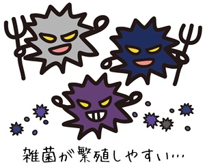 雑菌
