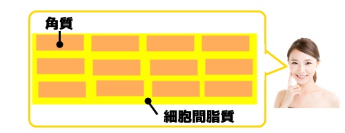 角質
