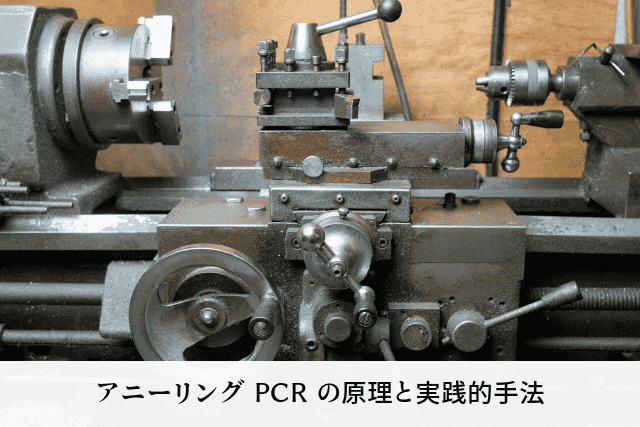 アニーリング PCR の原理と実践的手法