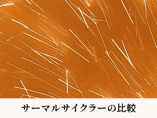 サーマルサイクラーの比較