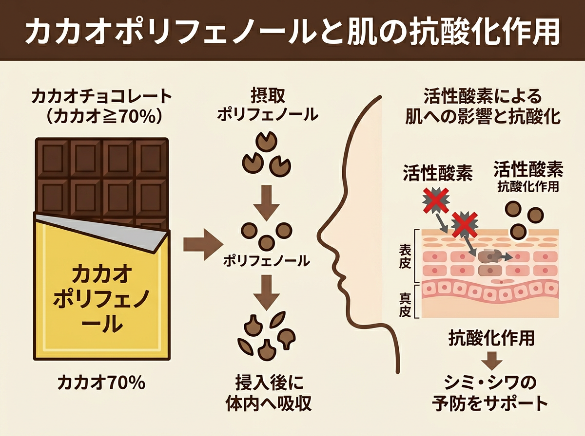 ダークチョコレートに含まれるカカオポリフェノールと肌の抗酸化作用