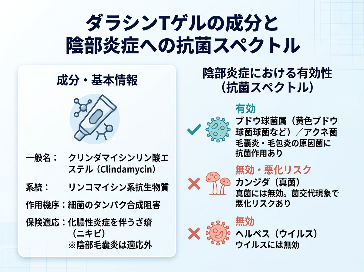 ダラシンtゲルの成分と陰部炎症への抗菌スペクトル