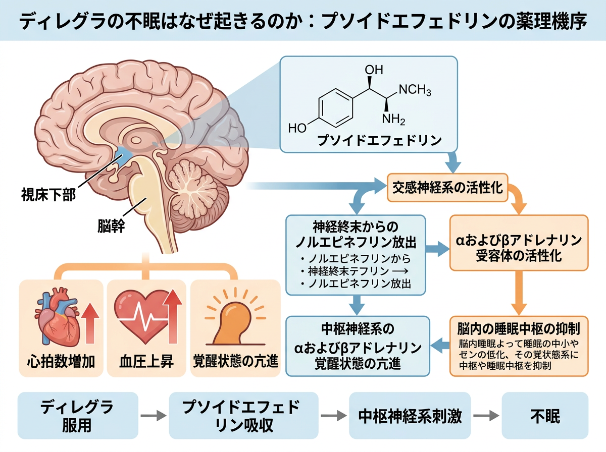 ディレグラの不眠はなぜ起きるのか:プソイドエフェドリンの薬理機序