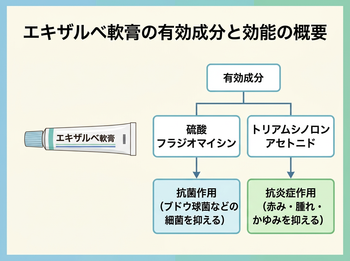 エキザルベ軟膏の有効成分と効能の概要