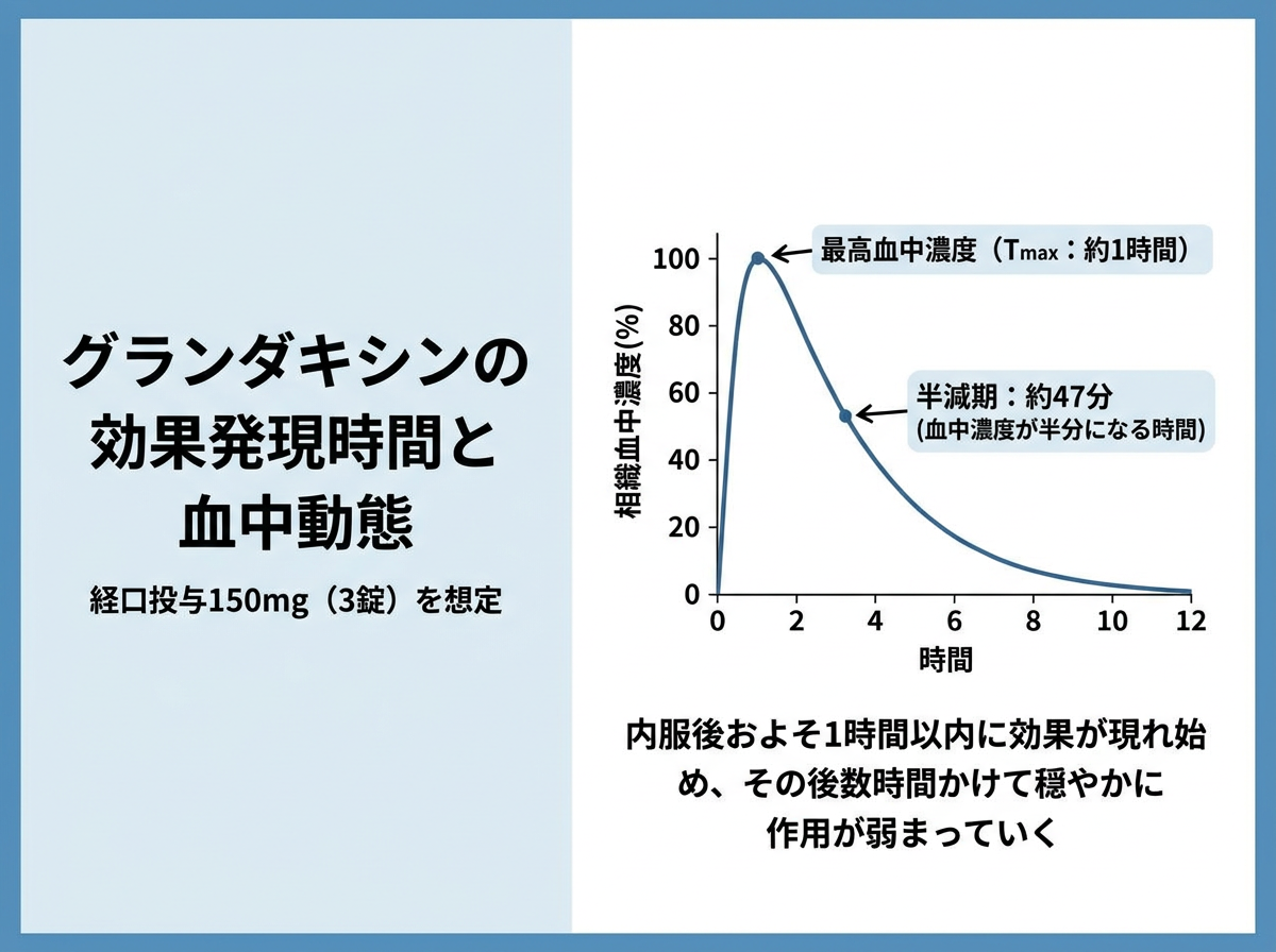 グランダキシンの効果が出るまでの時間と血中動態