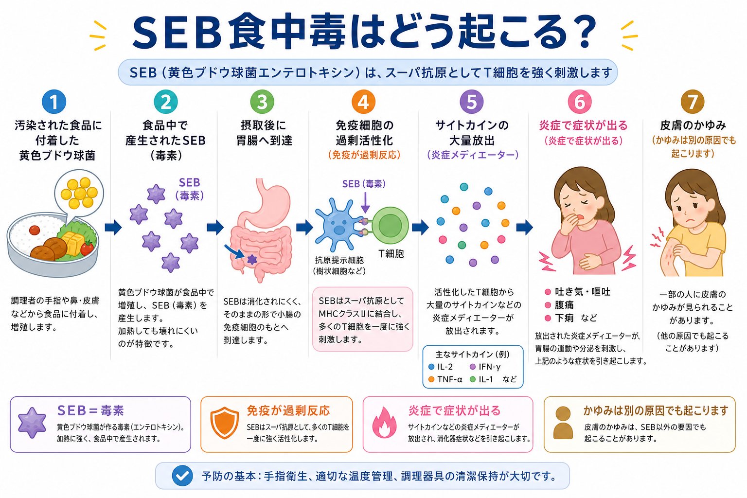 黄色ブドウ球菌エンテロトキシンB SEBによる食中毒の発症メカニズム
