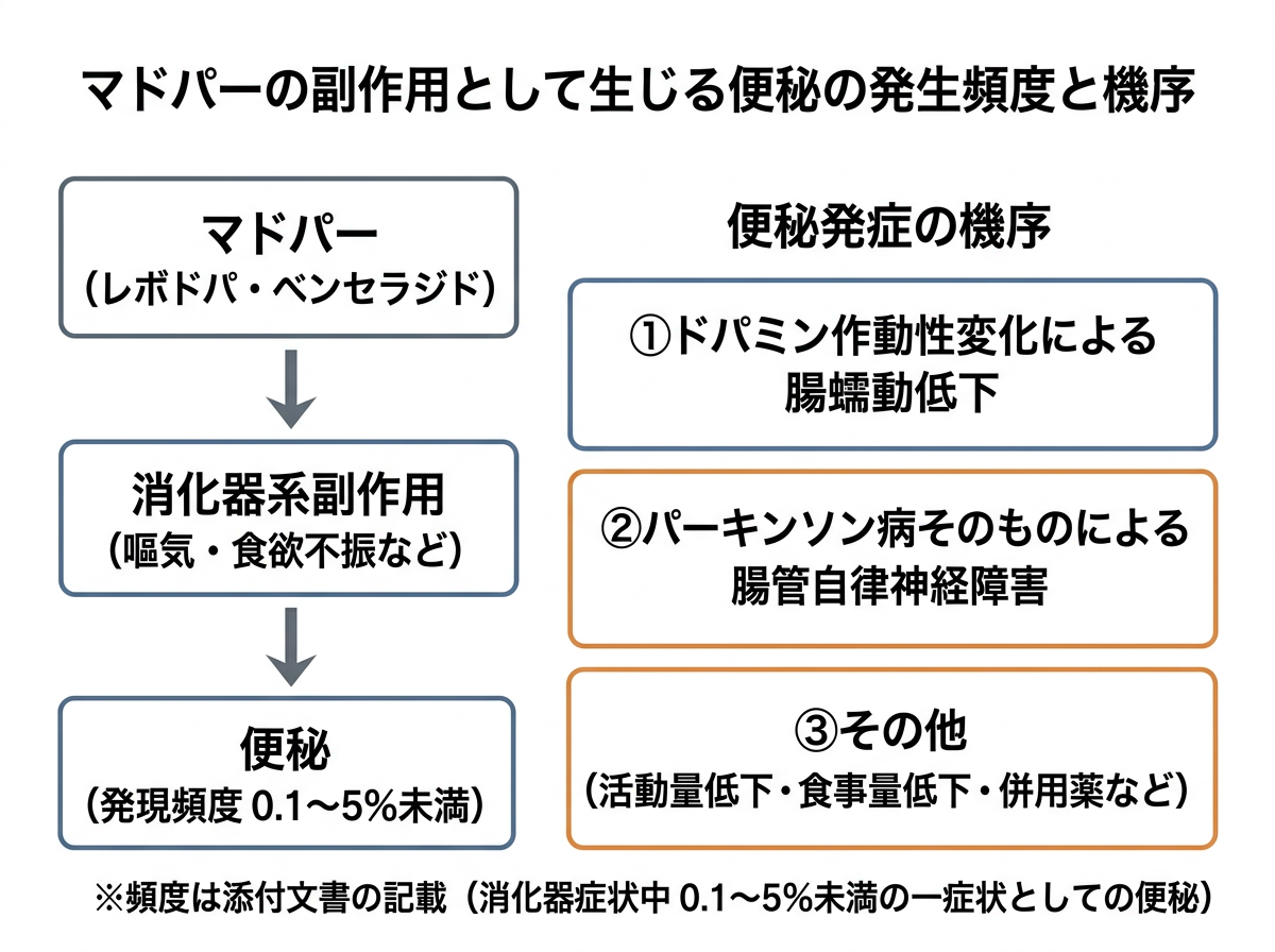 マドパーの副作用として生じる便秘の発生頻度と機序