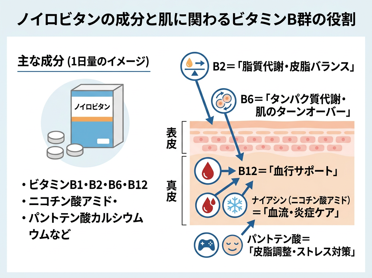 ノイロビタンの成分と肌に関わるビタミンB群の役割