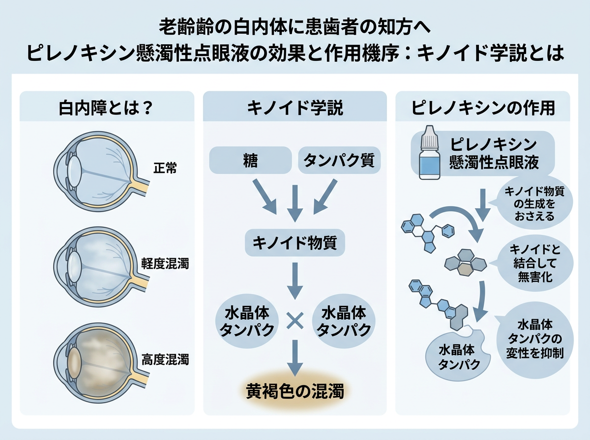 ピレノキシン懸濁性点眼液の効果と作用機序:キノイド学説とは